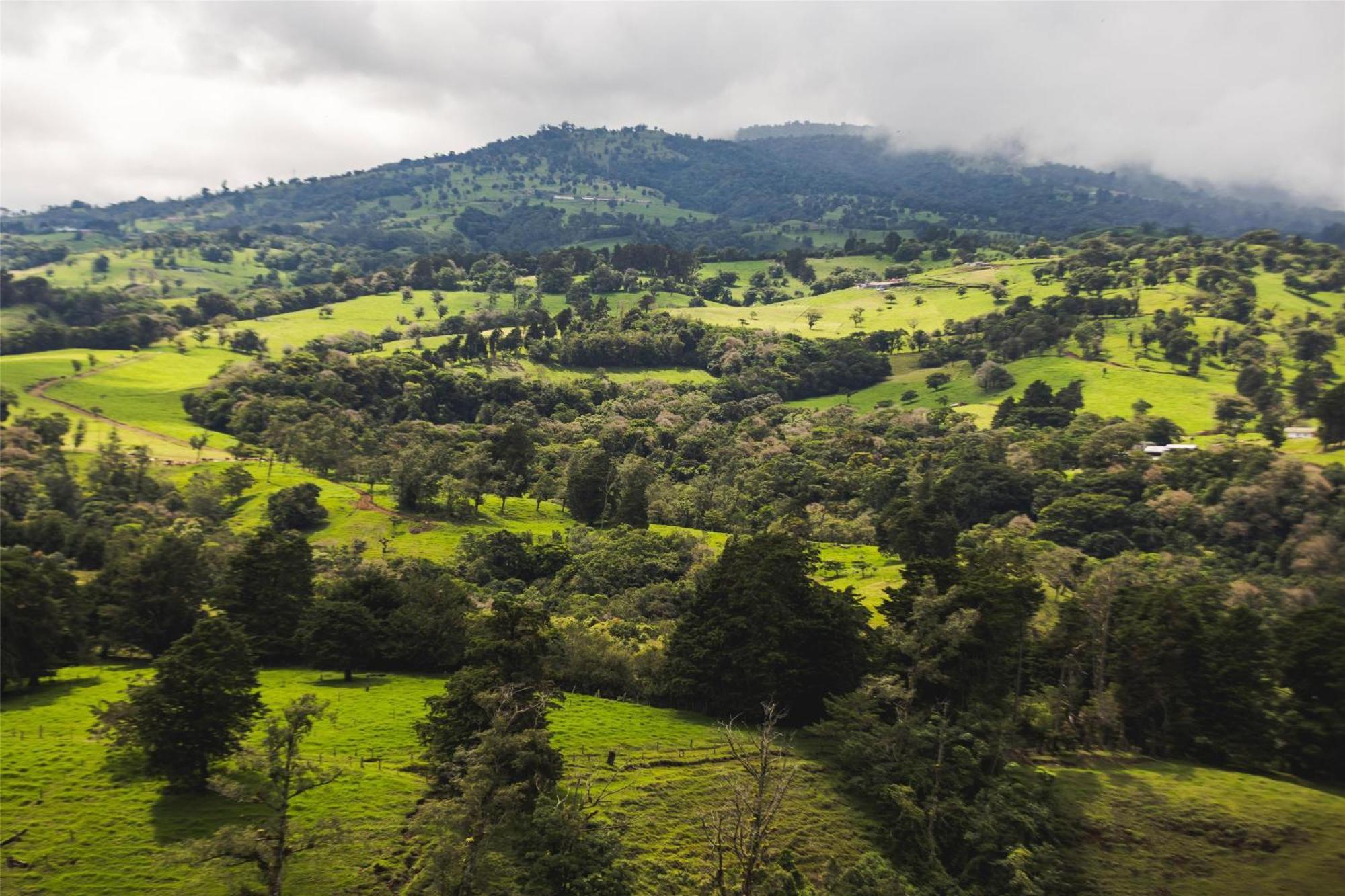 Hyatt Centric San Jose Escazu Hotell Exteriör bild